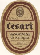 Sangiovese di Romagna_Cesari